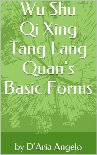 libro angelo d'aria forme base del tang lang