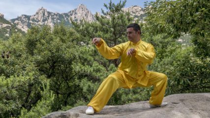 Il kung fu della mantide religiosa tang lang quan - tang lang bu chan